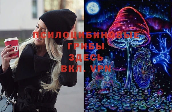 apvp Алексин