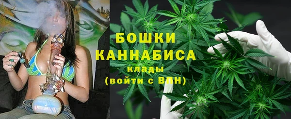 каннабис Алзамай