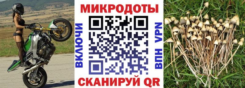 Галлюциногенные грибы MAGIC MUSHROOMS  купить наркоту  Усть-Илимск 